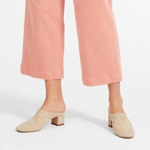 Everlane Day Mule in Beige Suede